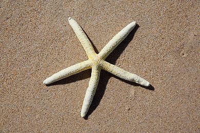 Xbox高管解释新游戏无法使用XSX快速恢复功能的原因